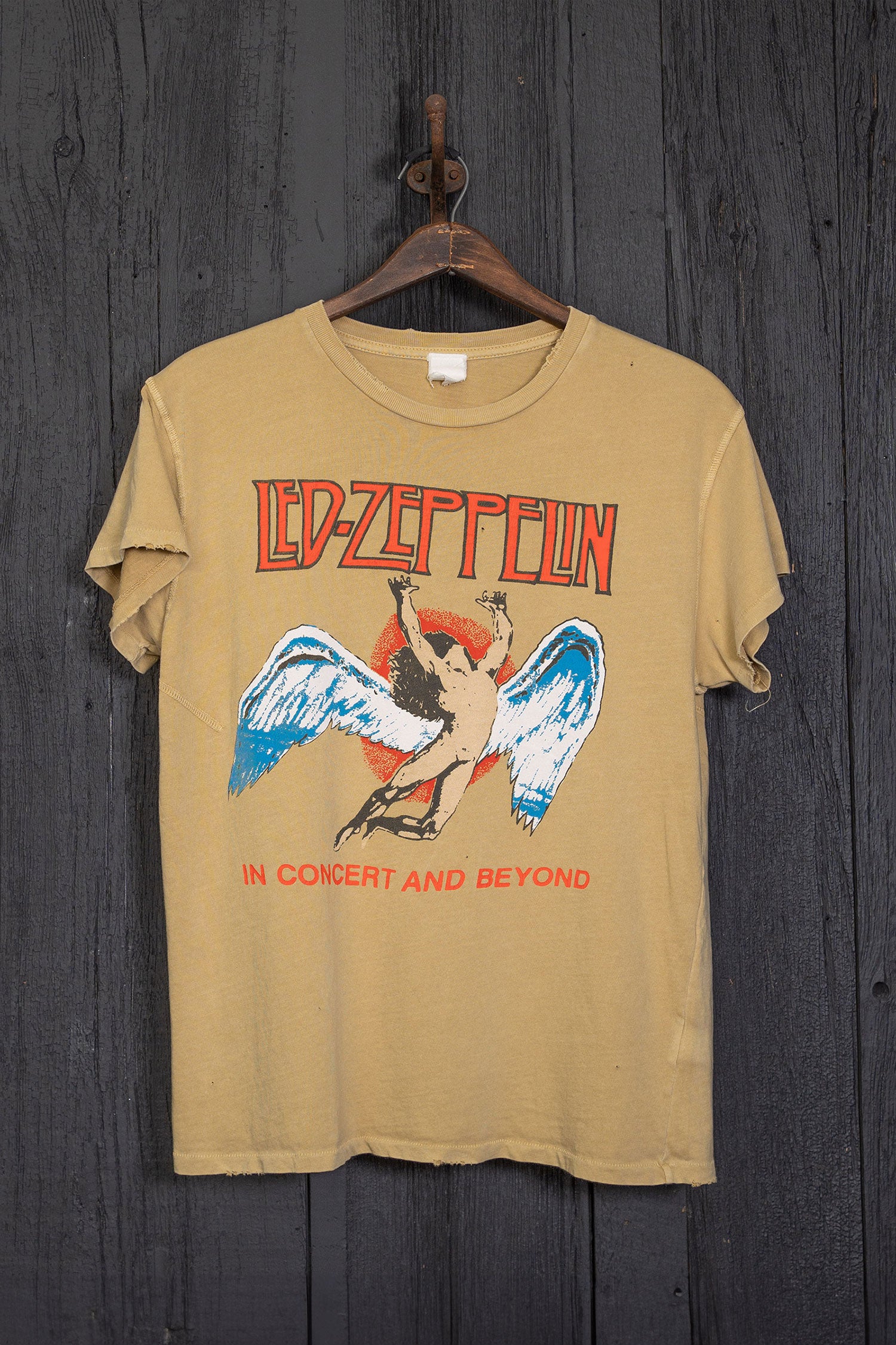 LED ZEPPELIN IN CONCERT AND BEYOND